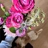 audreynicol98